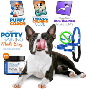 The Online Dog Trainer program structure