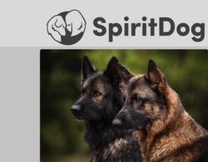 SpiritDog Training Reviews